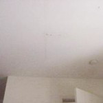 flir_leaky_bedroom_ceiling